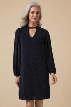 Wallis Shimmer Twist Neck Swing Dress