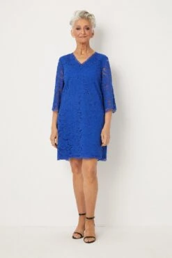 Wallis Petite Lace 3/4 Sleeve Shift Dress