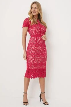 Wallis Petite Premium Lace Pencil Midi Dress