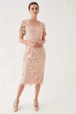 Wallis Petite Lace Embellished Waist Cap Sleeve Midi Dress